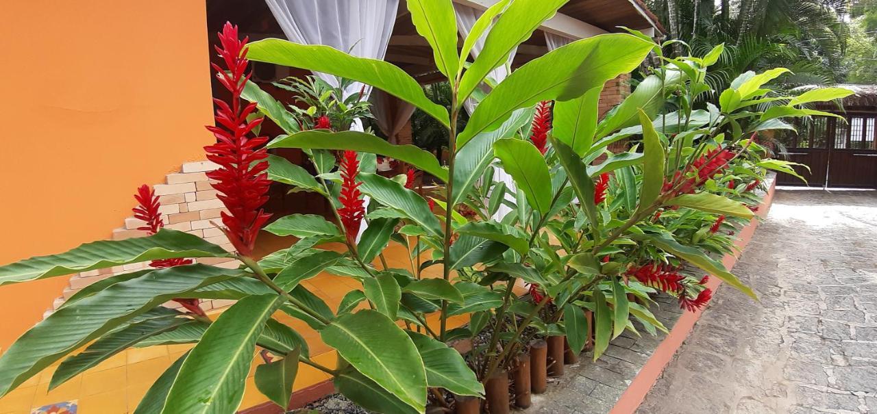 Canoa Caicara Inn Ilhabela